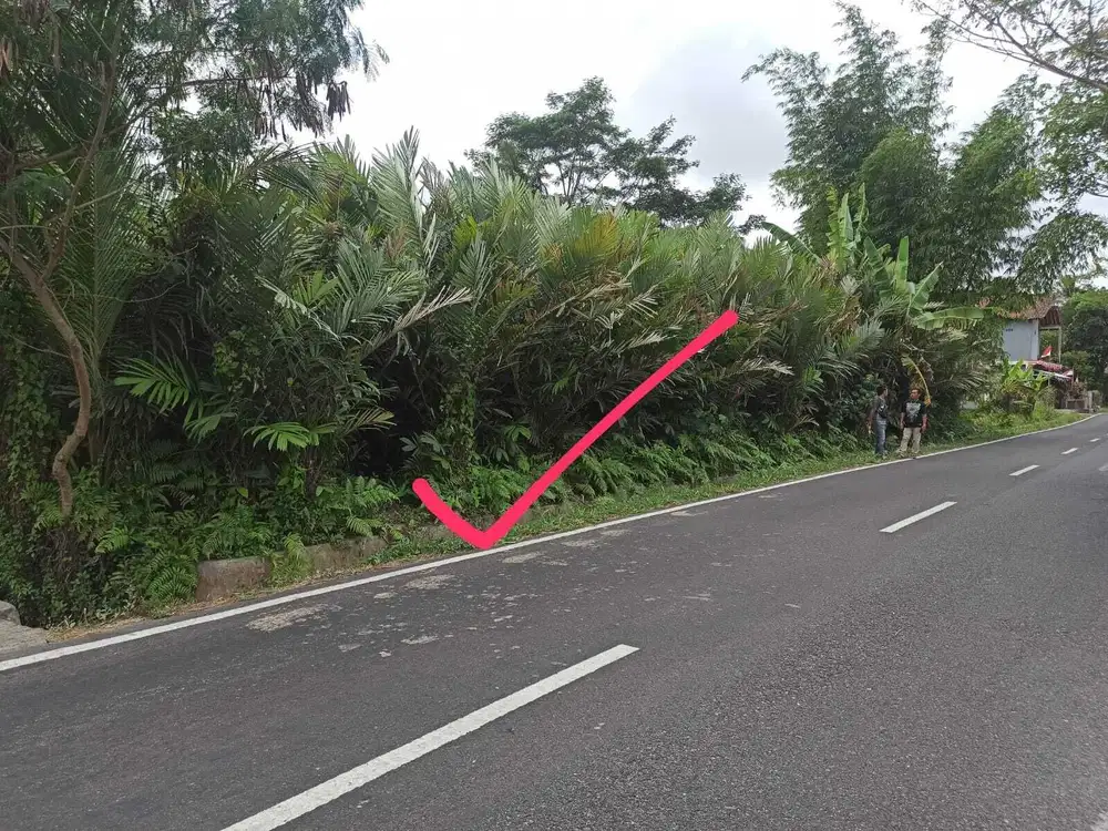 Di jual tanah istimewa pinggir jl aspal barat Jl Kaliurang