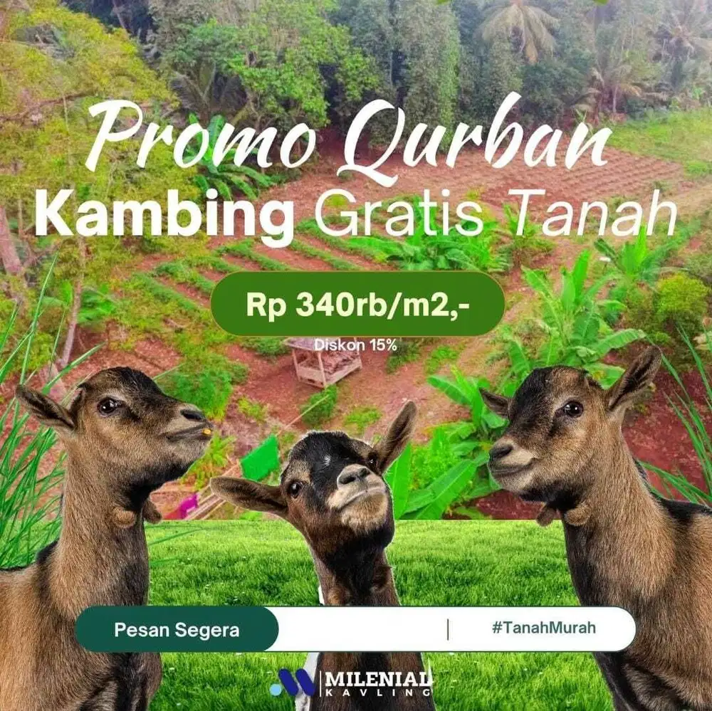 Tanah Kavling Kebun Cisalam - Baros