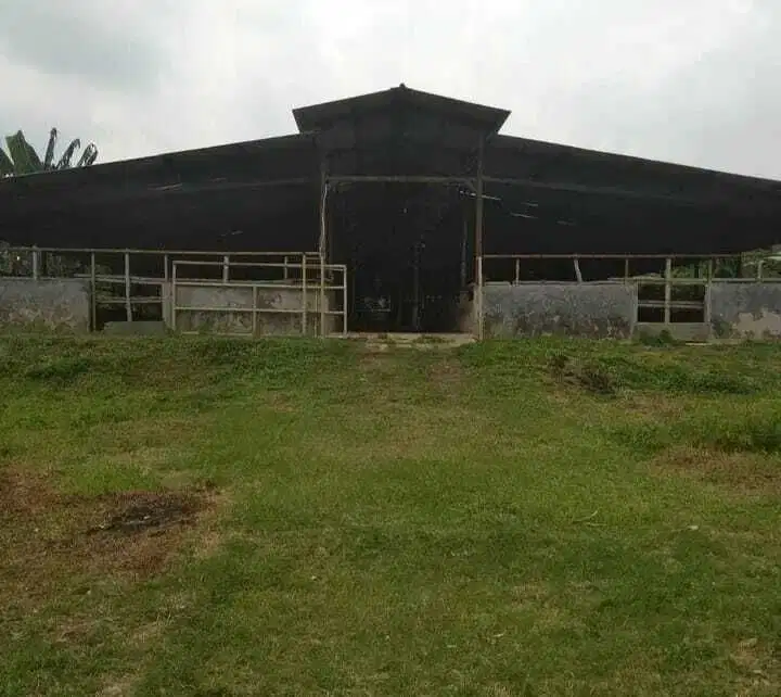Dijual Tanah dan Lahan peternakan sapi, Carii Jonggol