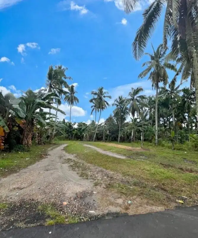 Tanah Kavling Pasir Putih Dekat SMA Unggul Sakti