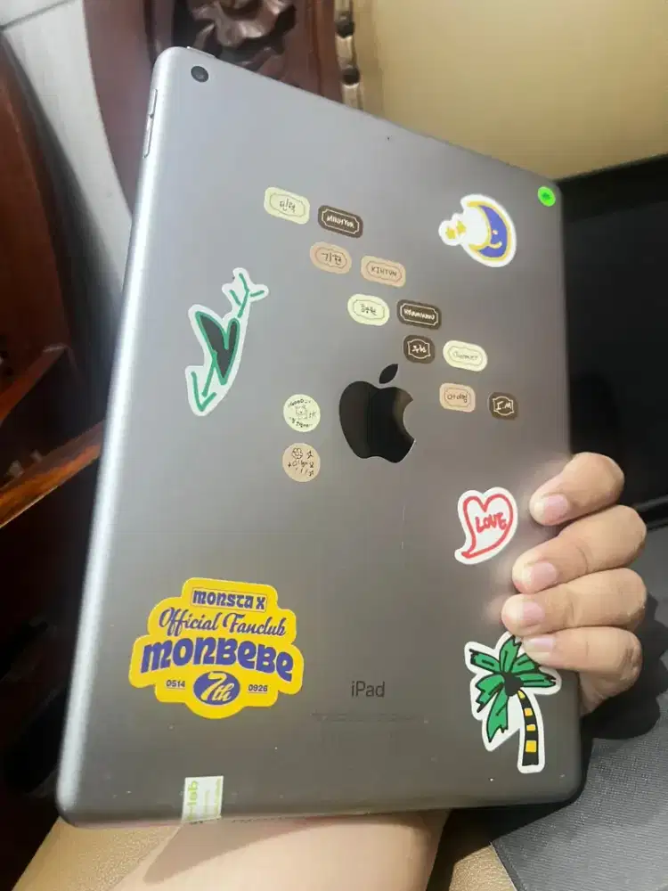 iPad 5 32gb wifi only