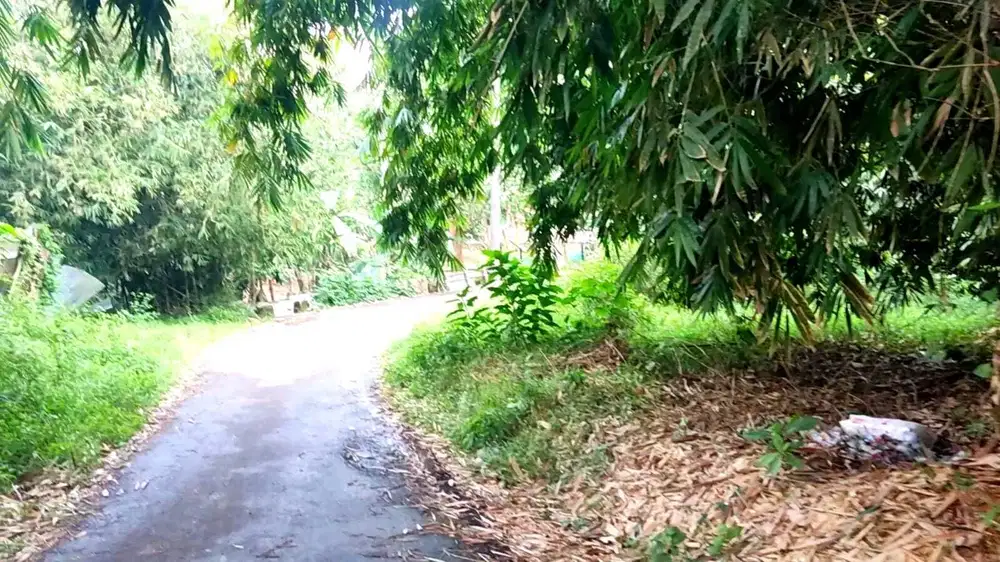 Tanah dijual luas 1000 m2 dekat jalan utama dan nempel jalan di Rumpin