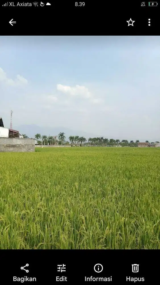 Dijual tanah di mainroad soreang