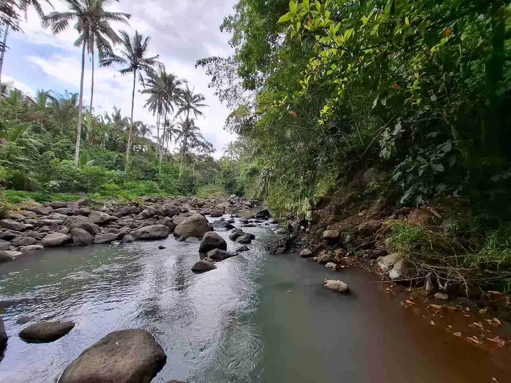 Dijual tanah murah los sungai di penebel tabanan bali
