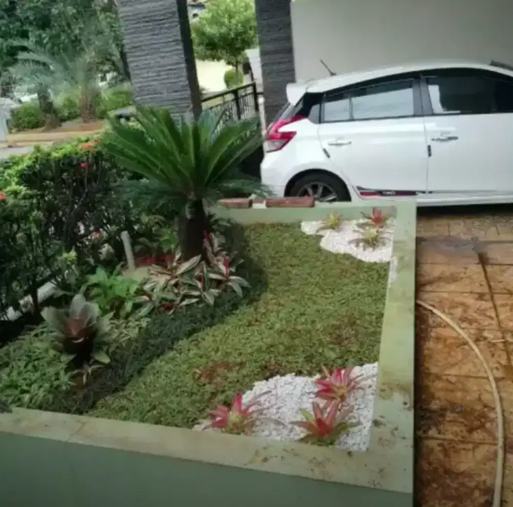 taman rumah minimalis