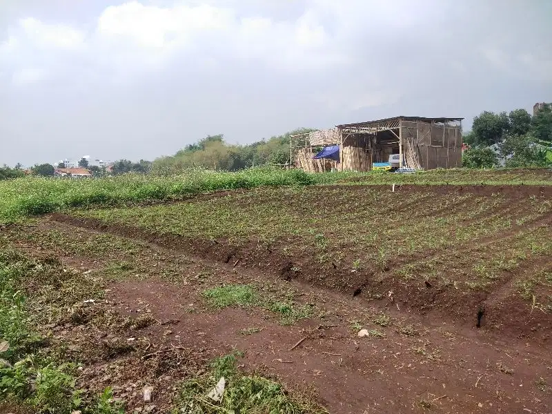 Turun Harga Kavling Siap Bangun Dekat Stasiun Kereta Cepat Whoos