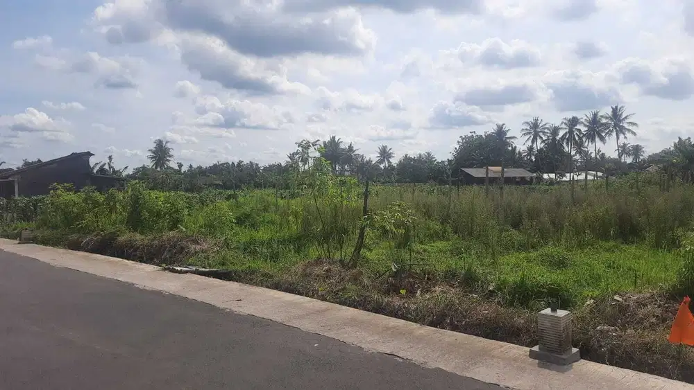 Tanah Pertanian Area Jl. Balong - Degolan Sleman