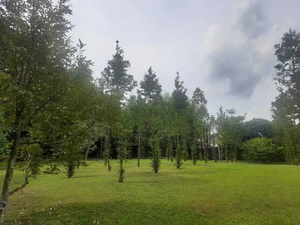 Tanah Luas dan Rumah Kawasan Krapyak Sleman