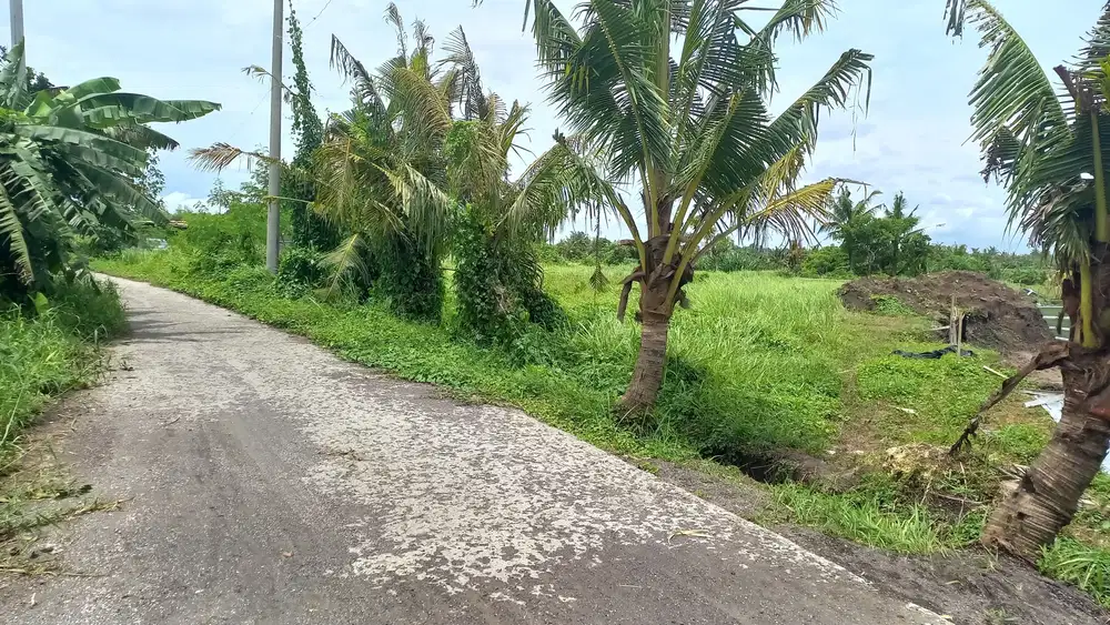 Tanah Kedungu 5 Menit Ke Pantai Lingkungan Elite