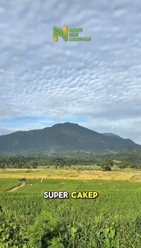 TANAH MURAH PINGGIR JALAN PROPINSI