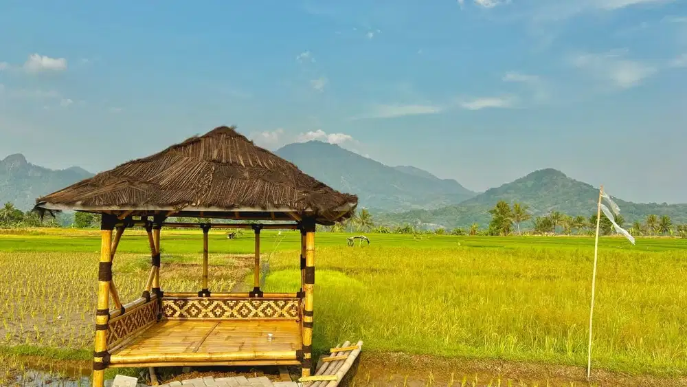 Di Jual Tanah Kavling Siap Bangun Di Pinggir Jln Provinsi Bogor