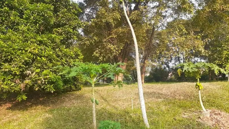 di jual tanah kapling luas 670m depan pos security citra indah city