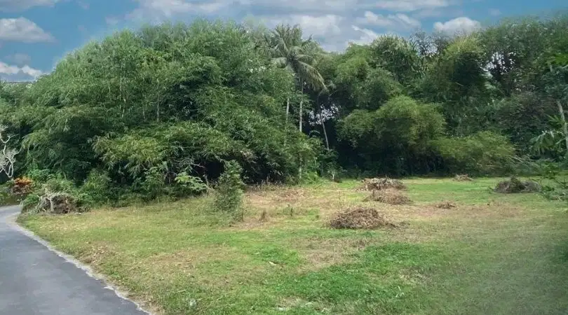 Dijual Tanah Murah di Jogja, Lokasi Area Pemda Sleman