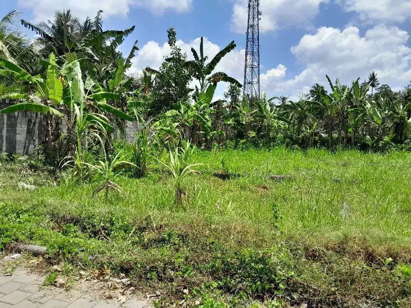 Tanah Perumahan Strategis Dekat Kota Gianyar