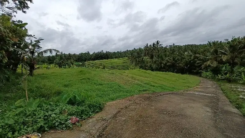 di jual tanah dengan dengan view sawah dan gunung