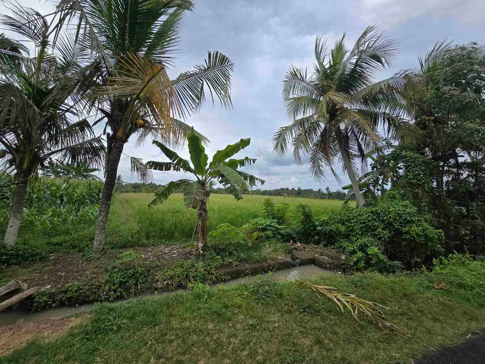 Dijual tanah kecil view jugle dan sungai di tabanan bali