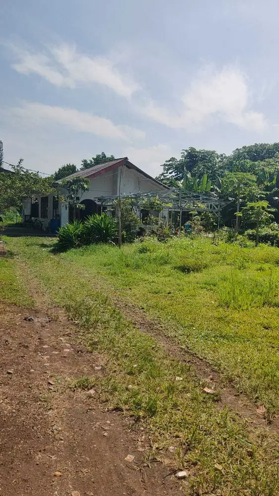 JUAL TANAH DIBOGOR UTARA BOGOR