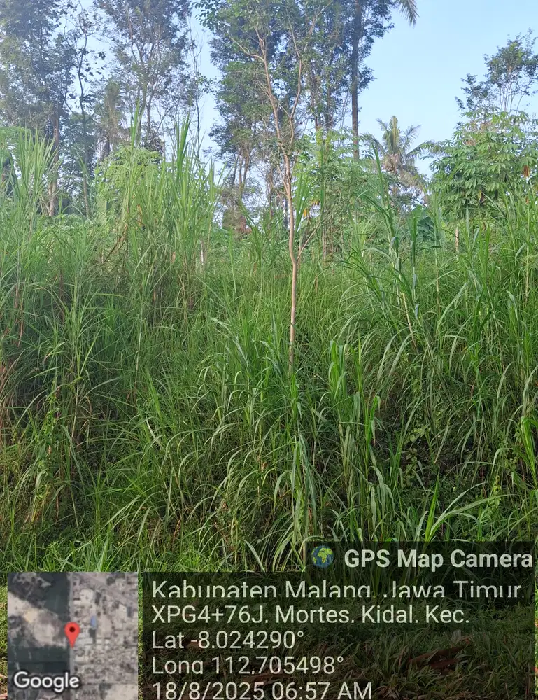 Tanah Murah Depan Candi Kidal Malang