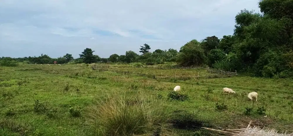 Tanah Bagus di Cikarang / Cibarusah