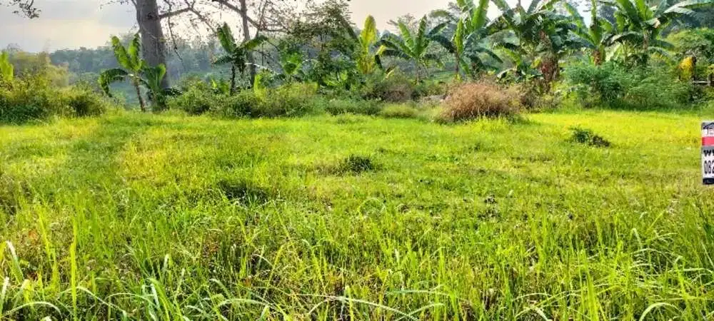 Kavling lokasi di Taman Dayu