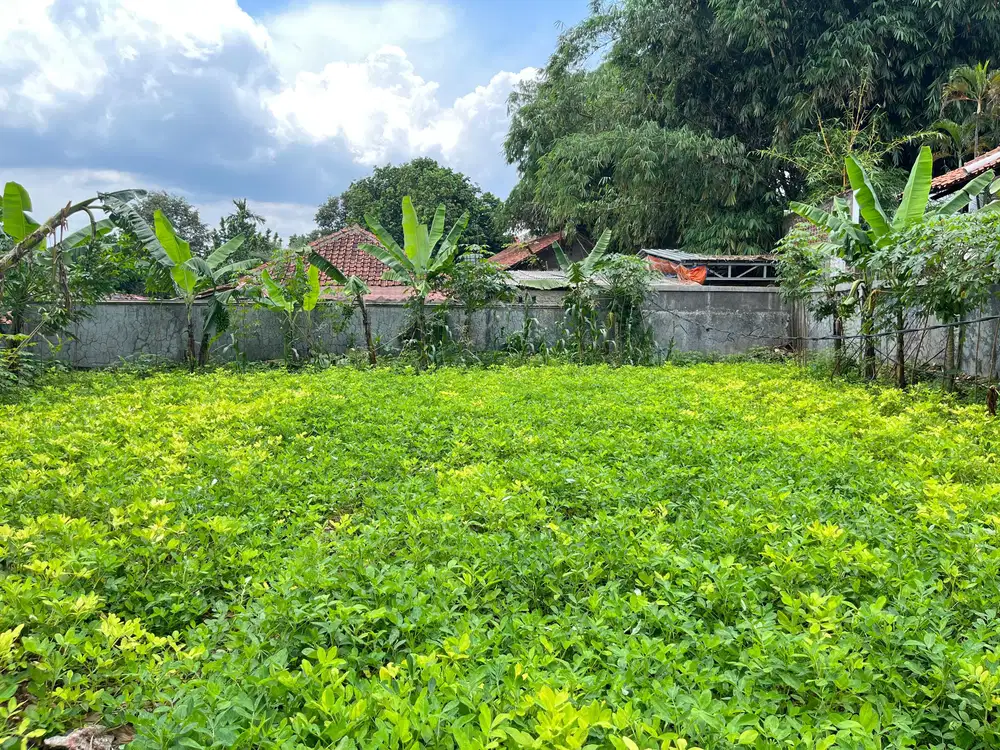 DIJUAL TANAH LOKASI STRATEGIS DI KERADENAN CIBINONG