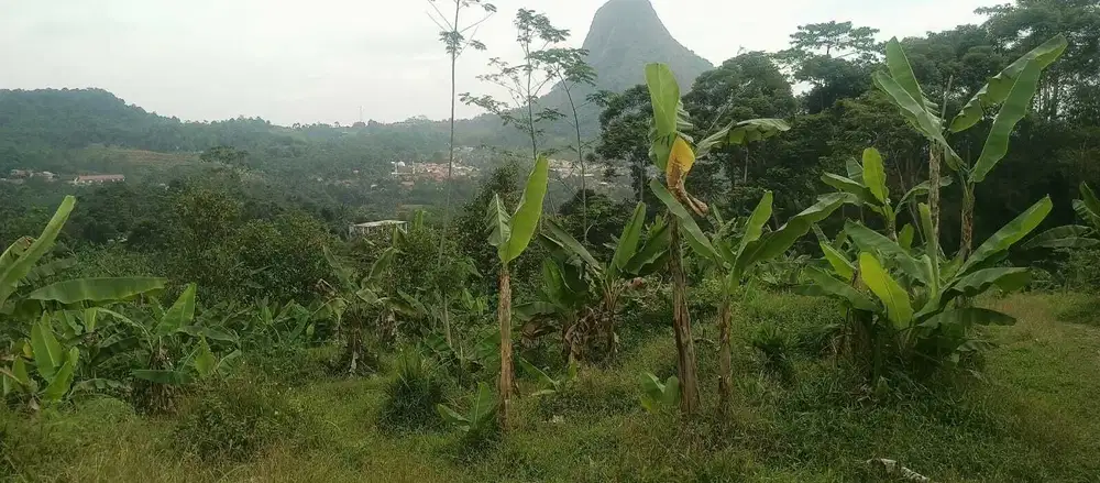 Jual tanah murah view gunung