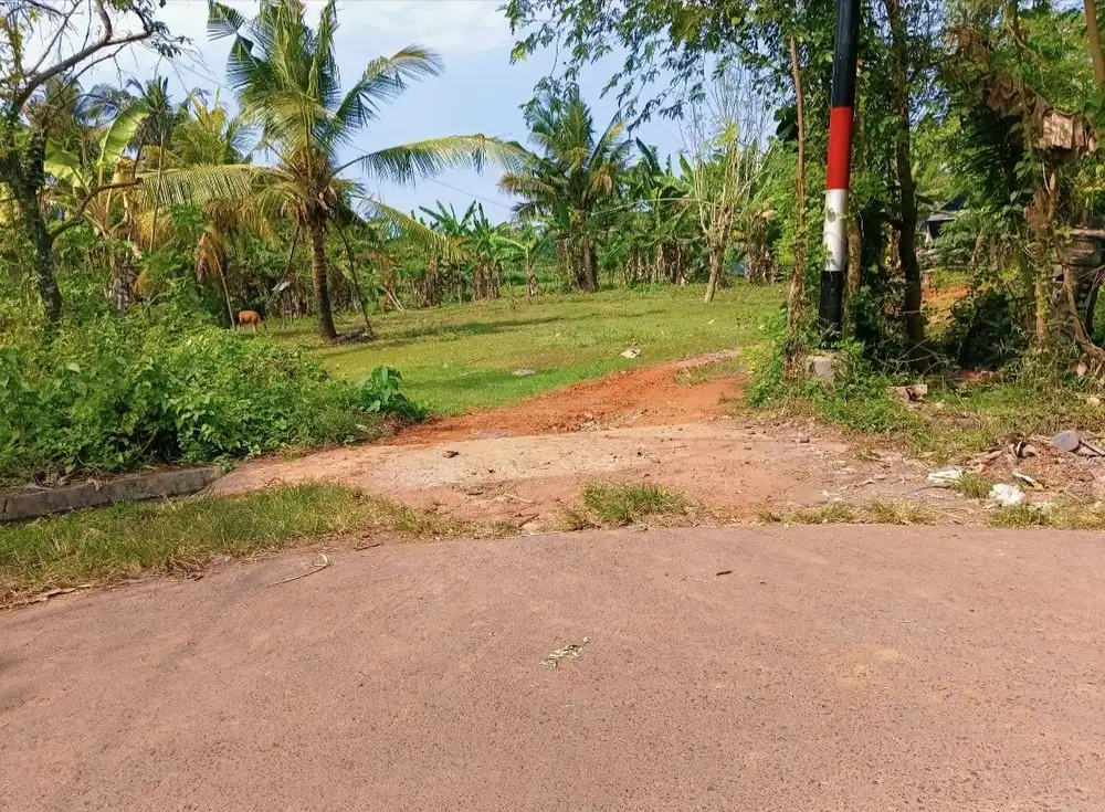 Tanah 48.6 are zona industri dan perumahan di cupel jembrana