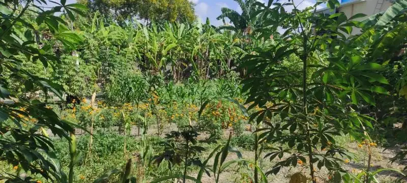 Tanah sangat bagus, lingkungan villa di Sanur Bali