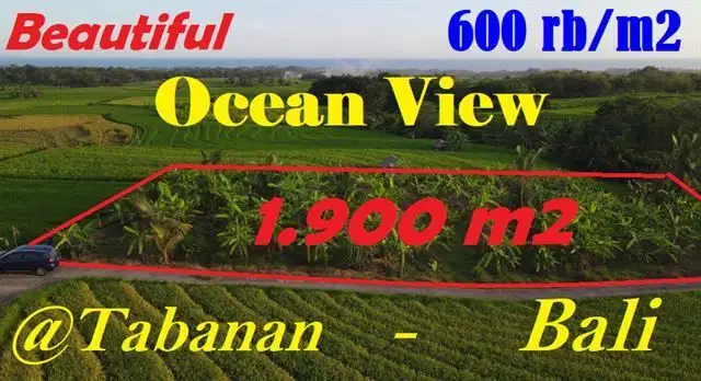 Dijual 1,900 m2 Relatif Murah di Selemadeg, Akses Beton