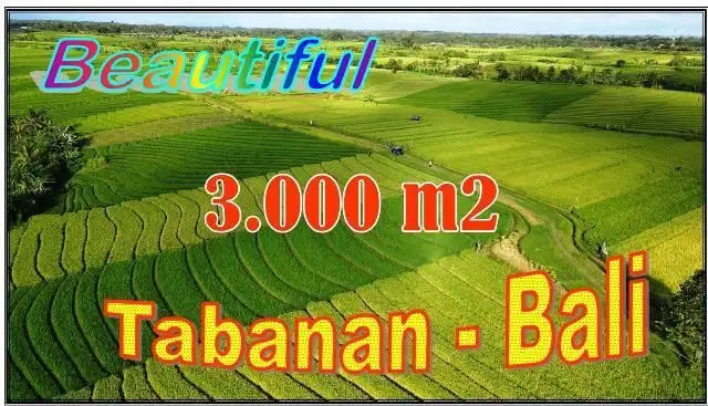 Strategis 30 are View Sawah dan Gunung dekat Pantai