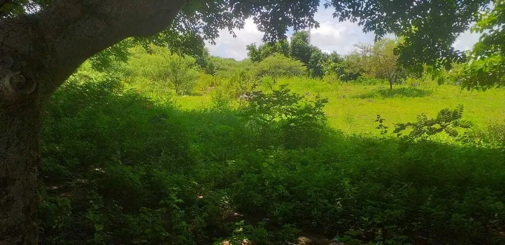 Dijual Tanah Kosong di Penkase Oeleta