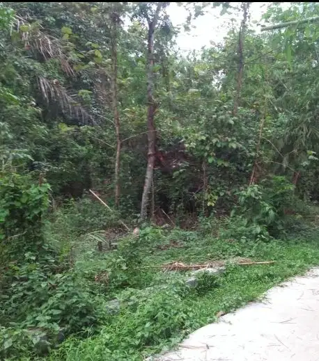 tanah perbukitan subur di karawang barat