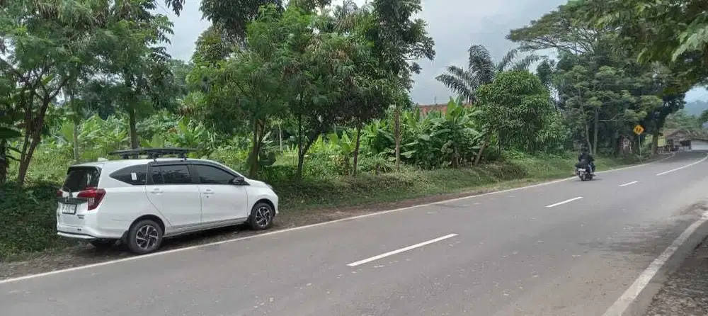Dijual Tanah Strategis di Jl Transyogi, Cariu, Tanjungsari, Bogor