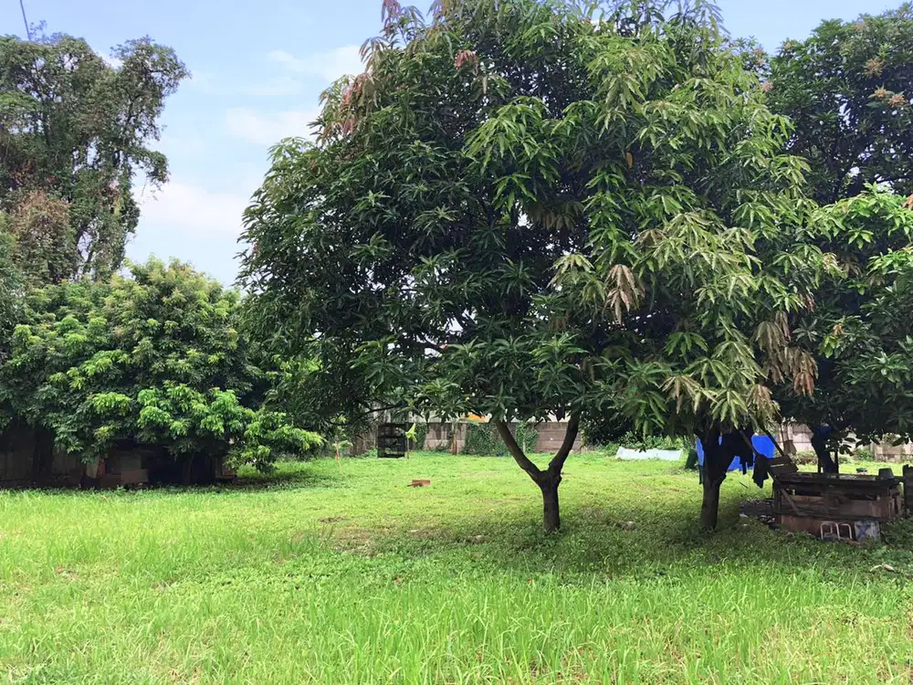 Dijual Tanah di Cipulir Pesanggrahan