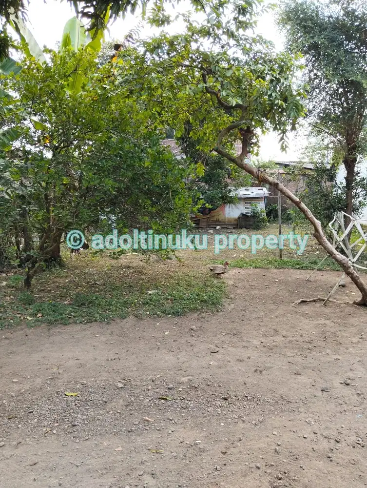 Tanah strategis 160 m dari jalan provinsi di mertoyudan magelang