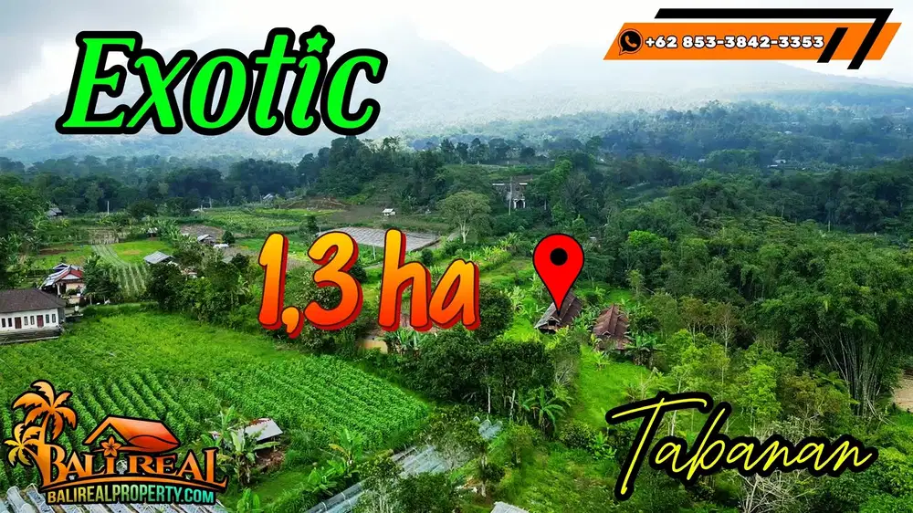 13,000 m2 with Beautiful Agriculture View in Baturiti