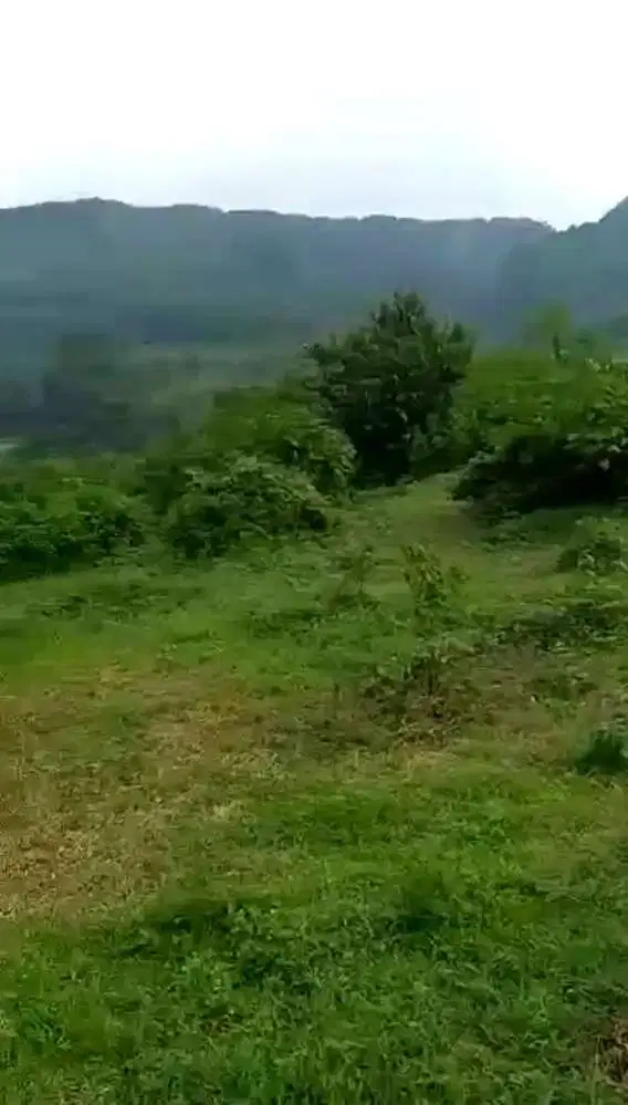 Tanah Lahan Kosong ada Tambang Batu di Purwodadi Pasuruan