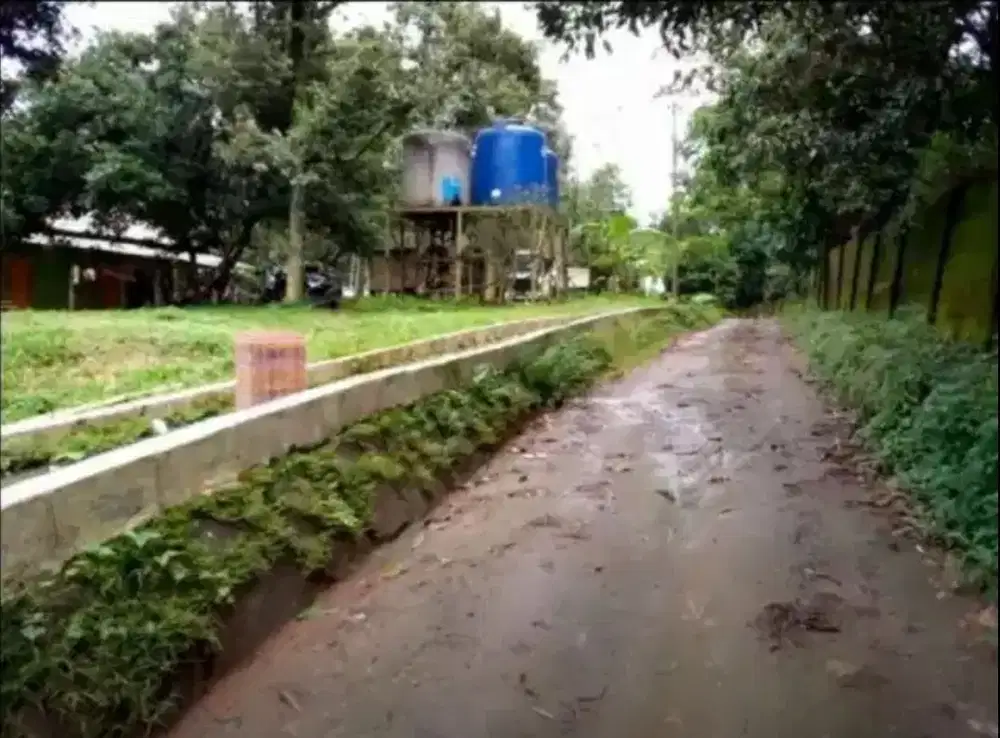 Dijual kandang ayam petelur modern Luas 3Ha