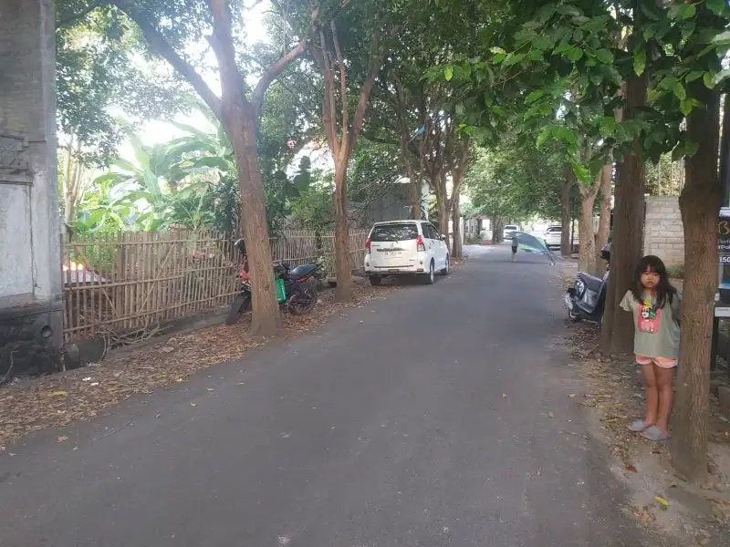 DiJual Tanah PREMIUM  Jln Ciung Wanara Renon