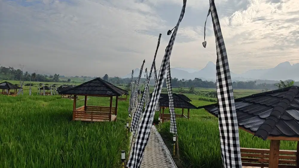 Kavling sawah murah Bogor Timur