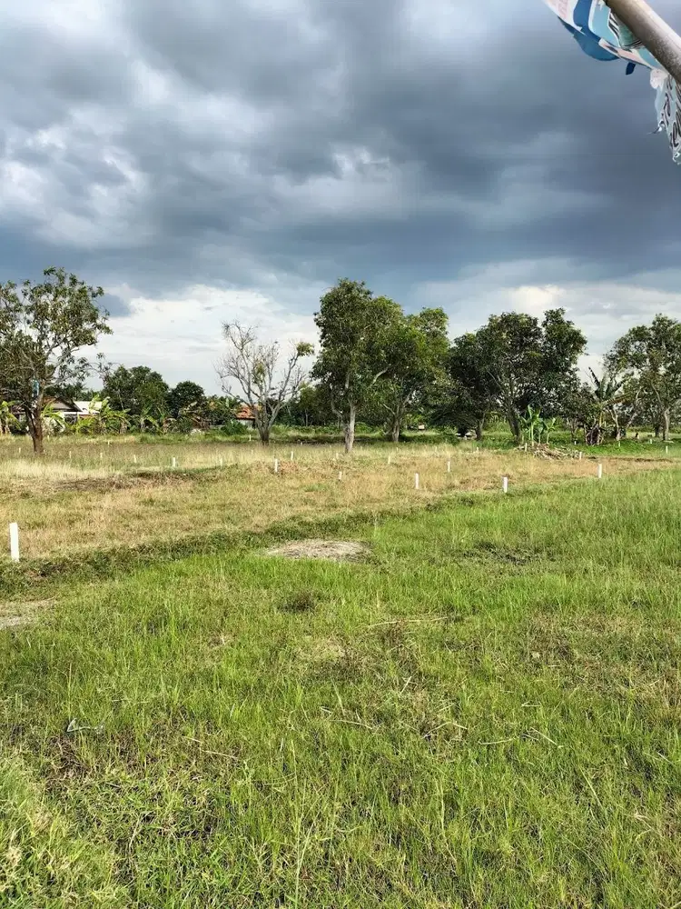 Tanah Dekat Tol Cilincing Jakarta Utara Cocok Sendiri atau Investasi