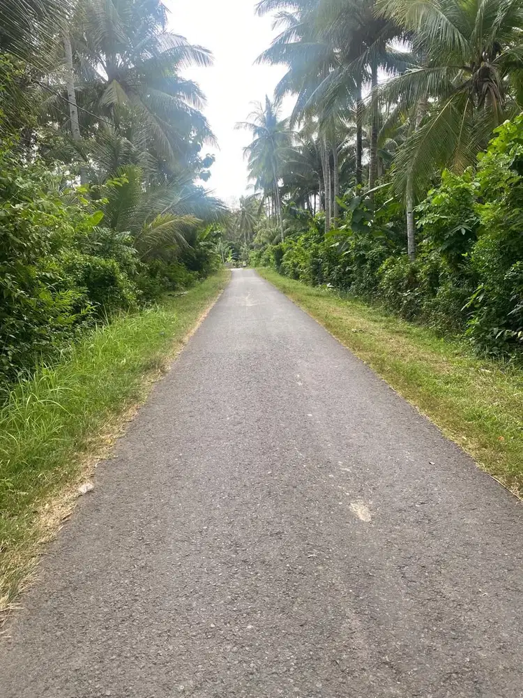TANAH 85 ARE LOS PANTAI PEKUTATAN JEMBRANA BALI