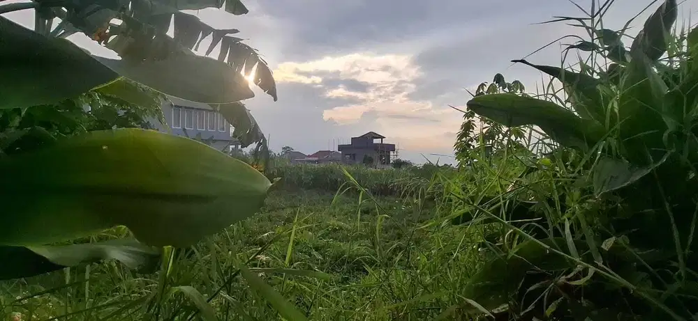 Jual Tanah Datar SHM Luas 500m2 Citeko Cisarua Puncak Bogor
