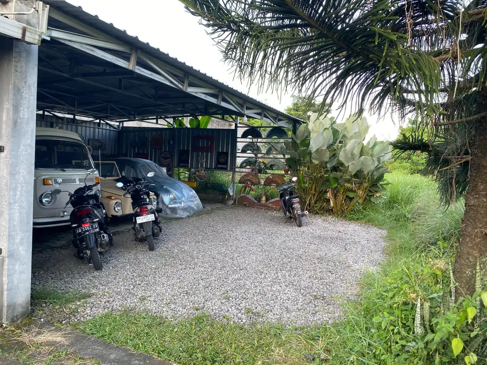Tanah pekarangan murah dekat masjid suciati, mall sch, pemda Slm, ugm