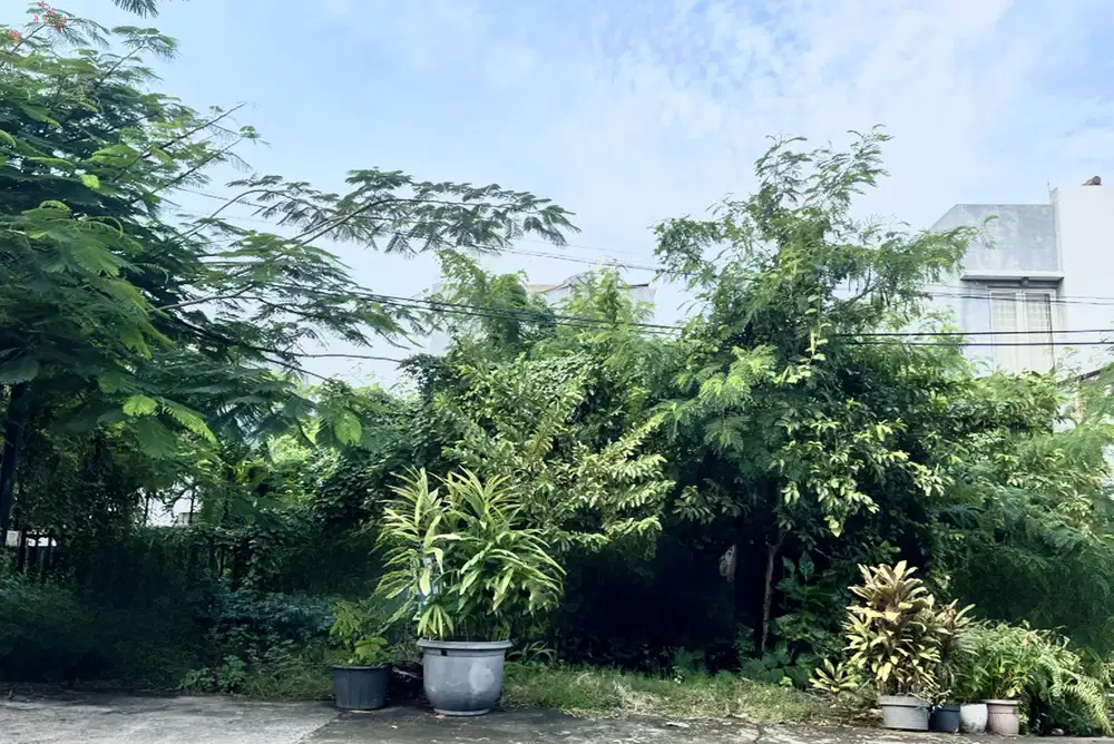 KAVLING LANGKA PLUIT PUTRI