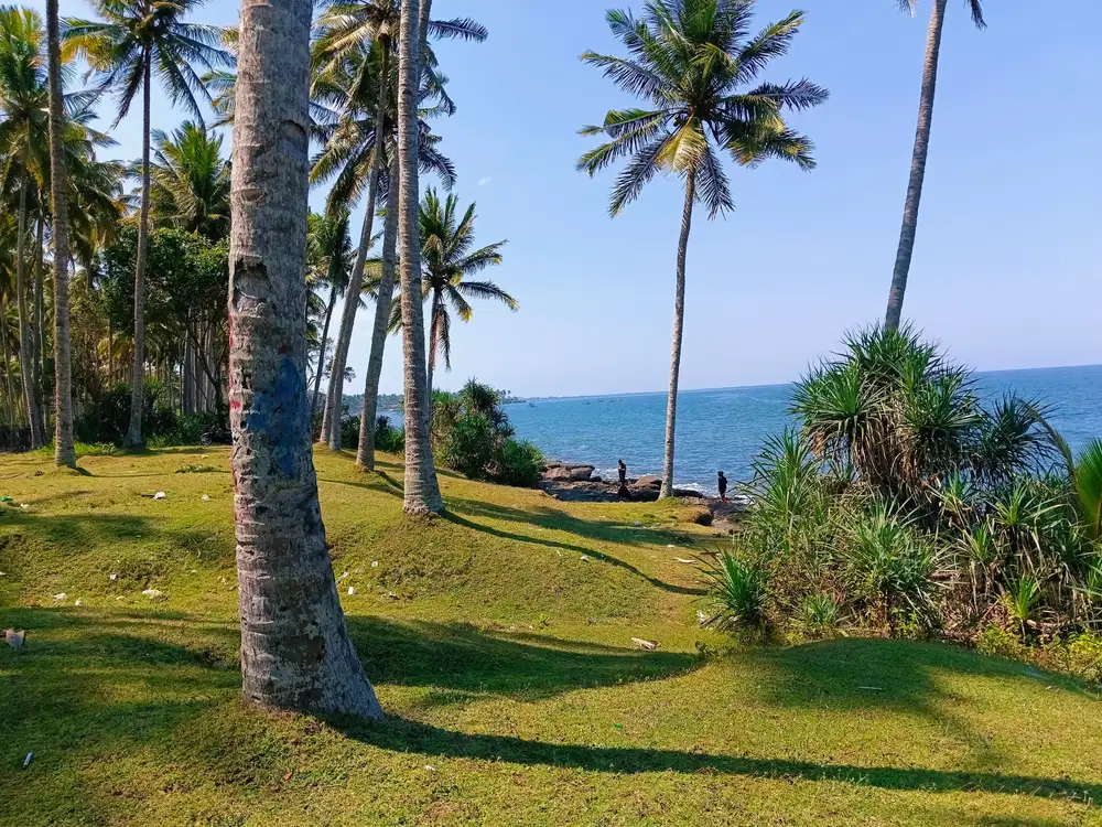 Tanah Los Pantai 8 hektar komplek di baluk rening jembrana