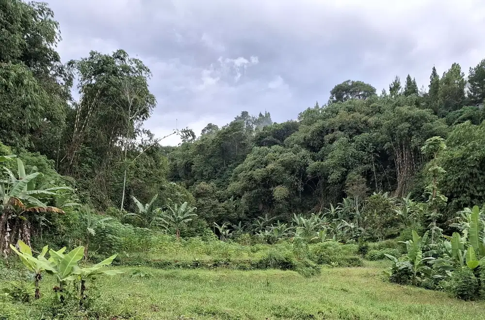 Jual Tanah Luas 1.2 Ha Desa Kuta Megamendung Puncak Bogor