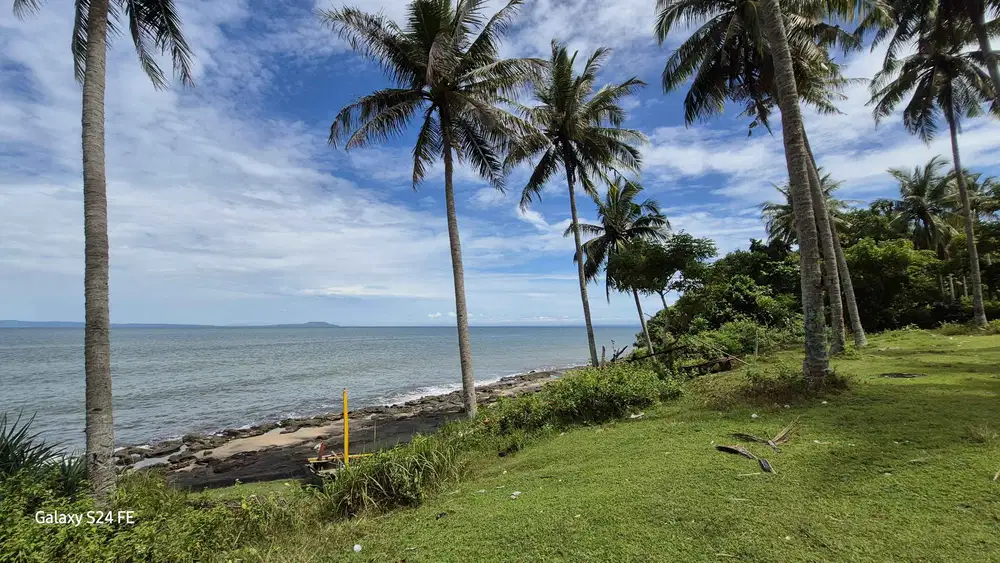 Los pantai / beachfront 2 hektar dapat 2 jalan di jembrana bali