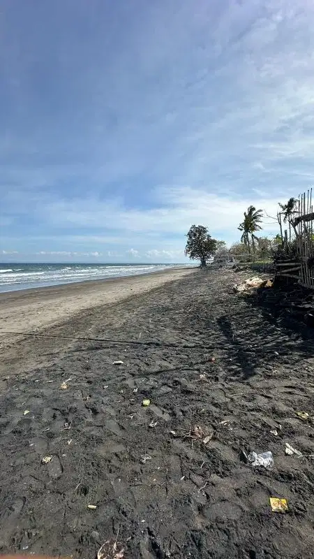 LOS PANTAI / BEACH FRONT 450M2 PERANCAK  JEMBRANA