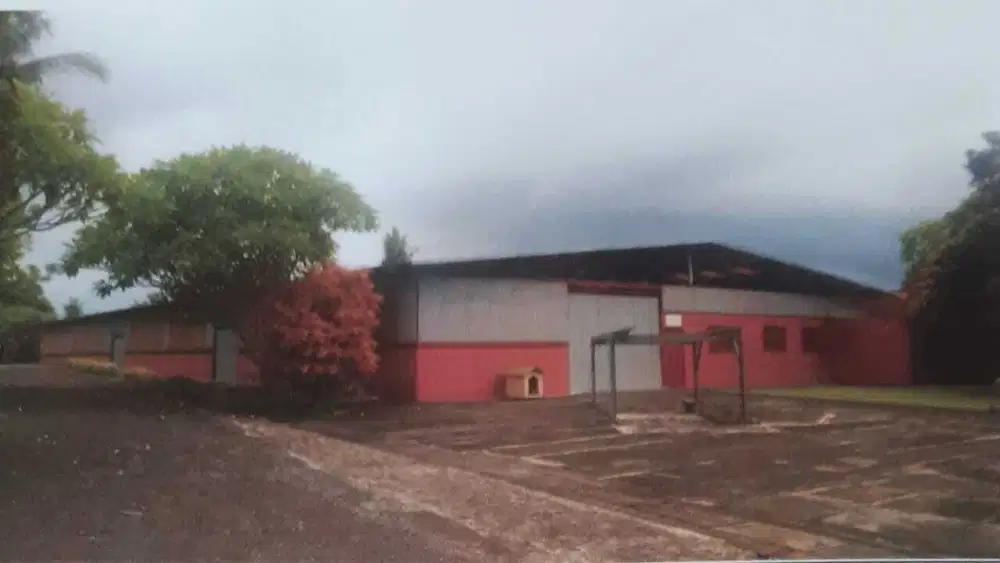 Gudang 2 hektar pinggir jalan provinsi Denpasar gilimanuk